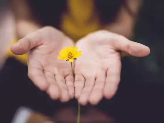 Reiki-Stufe 1