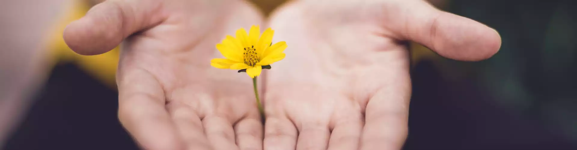Reiki-Stufe 1 - Online Class by Jamie Butler