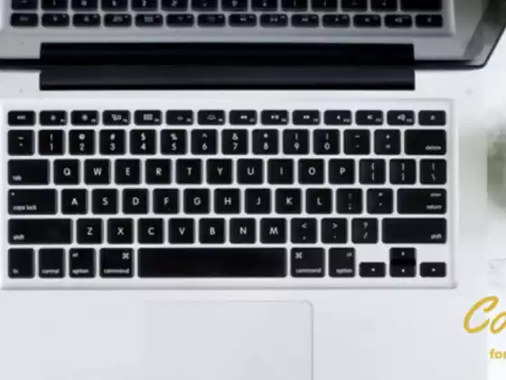 Optimize Your Business with Blogs