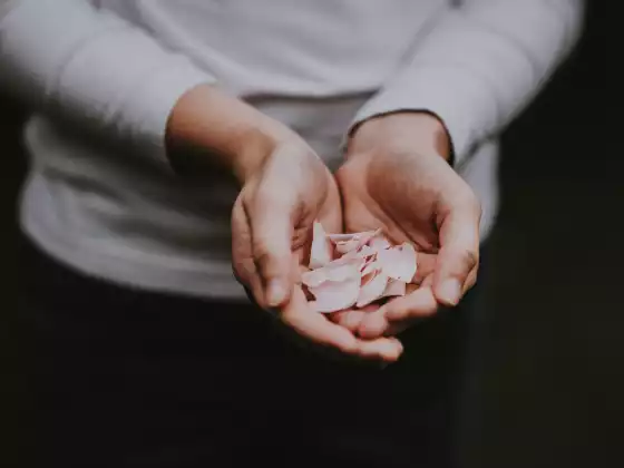 靈氣一級問答