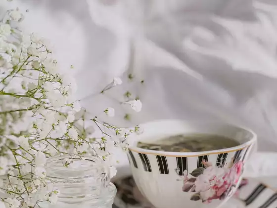 Trance 与 Grace 进行问答环节