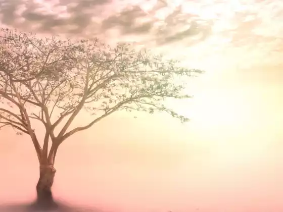 Guarigione dalle vite passate: meditazione e tecniche energetiche