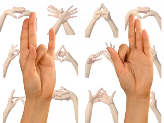 صوفیانہ مدرس: ایک ماہانہ ریکی/یوگا فیوژن ورکشاپ سیریز