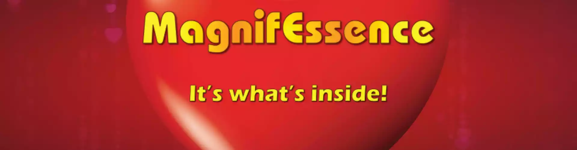 MagnifEssence: প্ল্যাটফর্ম ওভারভিউ এবং ওয়াকথ্রু - Online Class by David McLeod