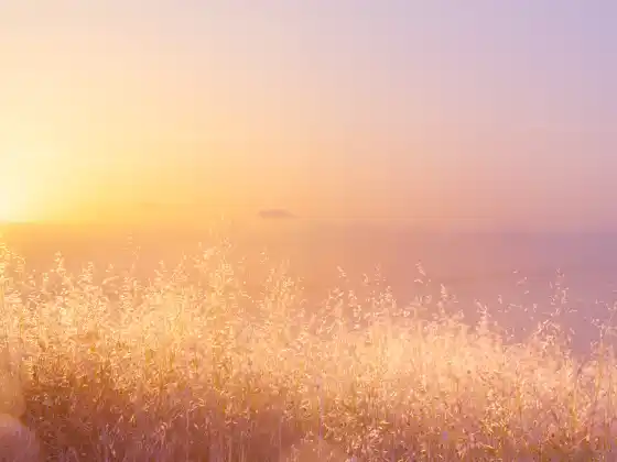 Self-Care Assessment & Reflection Practice