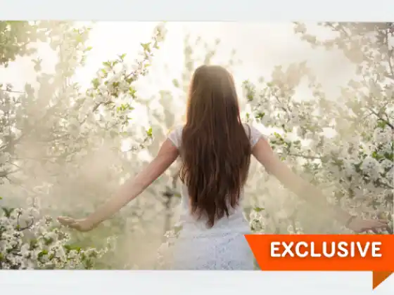 บทนำเกี่ยวกับเครื่องเร่งความเร็ว Embodied Destiny