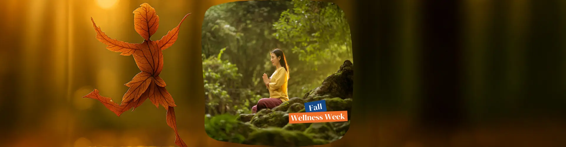 Cái ôm mùa thu: Thiền Reiki vào ngày thu phân - Online Class by Jerry Mikutis